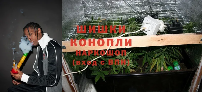 купить   Зубцов  Бошки марихуана Ganja 